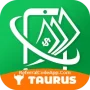 Taurus cash Icon